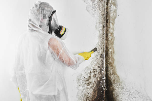 Best Water Damage Restoration  in Brandermill, VA