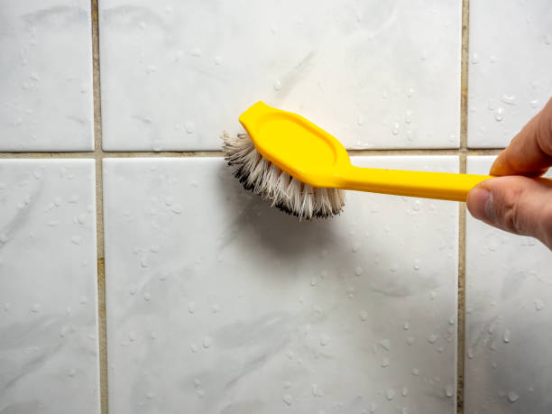Best Mold Removal Company Near Me  in Brandermill, VA