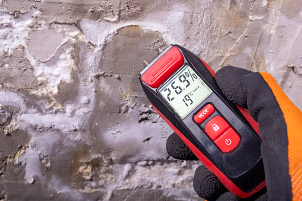 Best Mold Removal Near Me  in Brandermill, VA