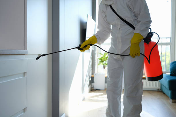 Best Mold Remediation  in Brandermill, VA