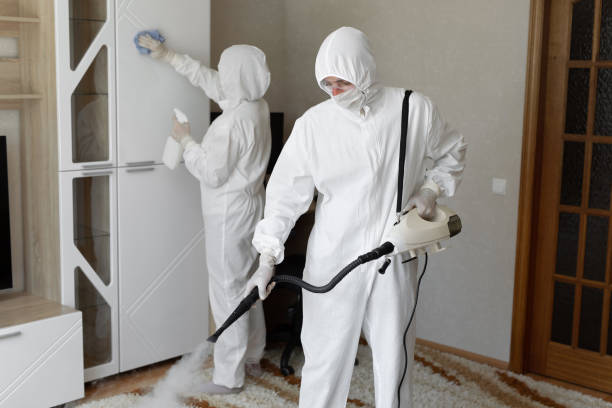 Best Office Mold Removal Services  in Brandermill, VA