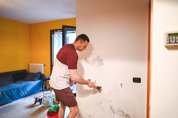 Best Attic Mold Removal  in Brandermill, VA