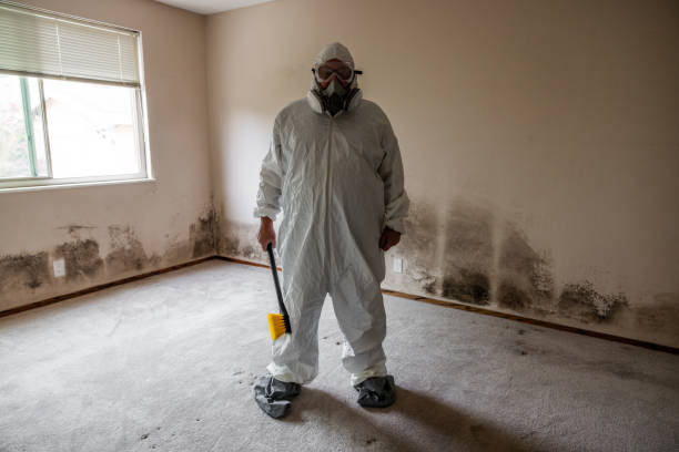 Best Certified Mold Removal  in Brandermill, VA