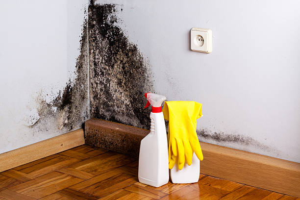 Best Mold Removal Near Me  in Brandermill, VA